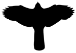 Topic image